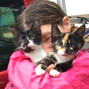 Fundraising Page: Erica Simpson